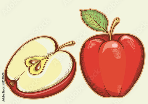 Red fresh apples.Vector illustration isolated for design
