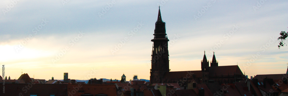 Panorama Freiburger Münster
