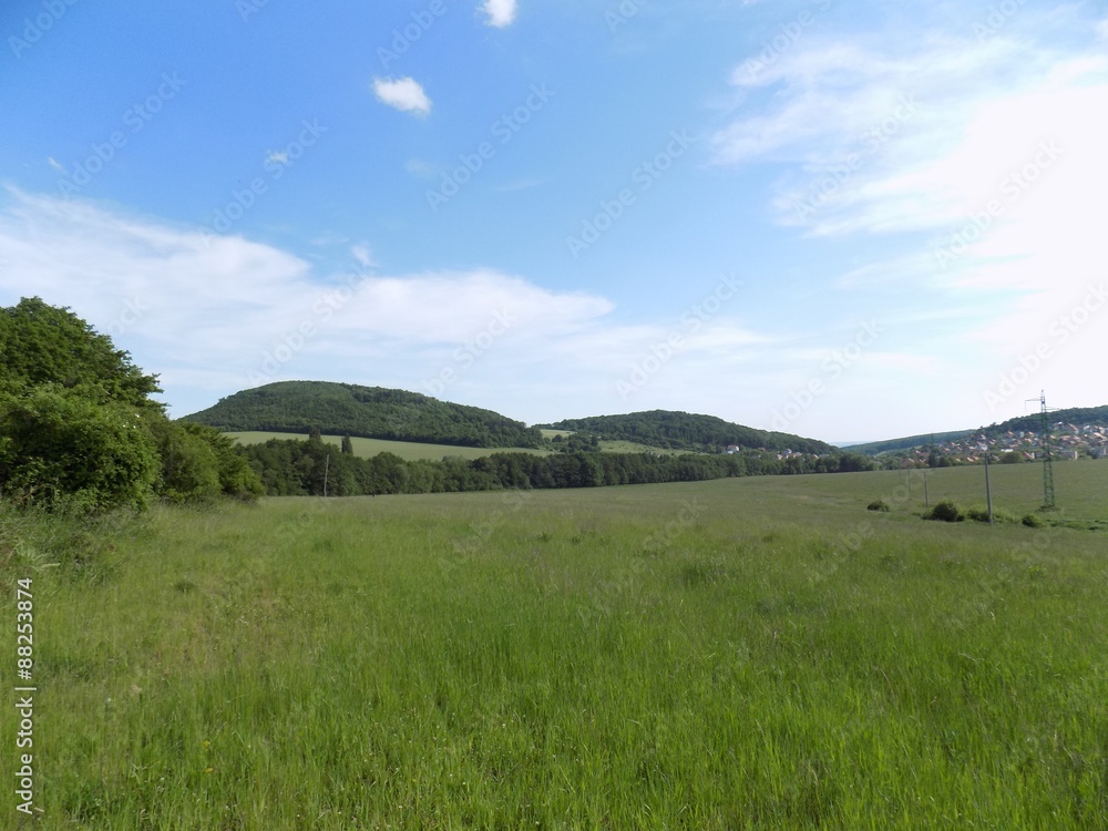 Meadow, forest and sky