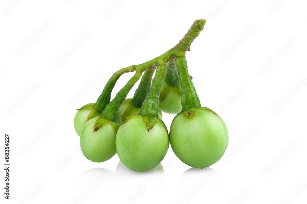 turkey berry isolated in white background turkey berry isolated in white background