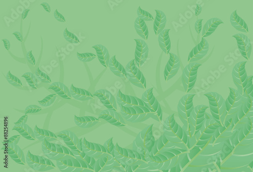 Abstract green background with leaf. Light green background.