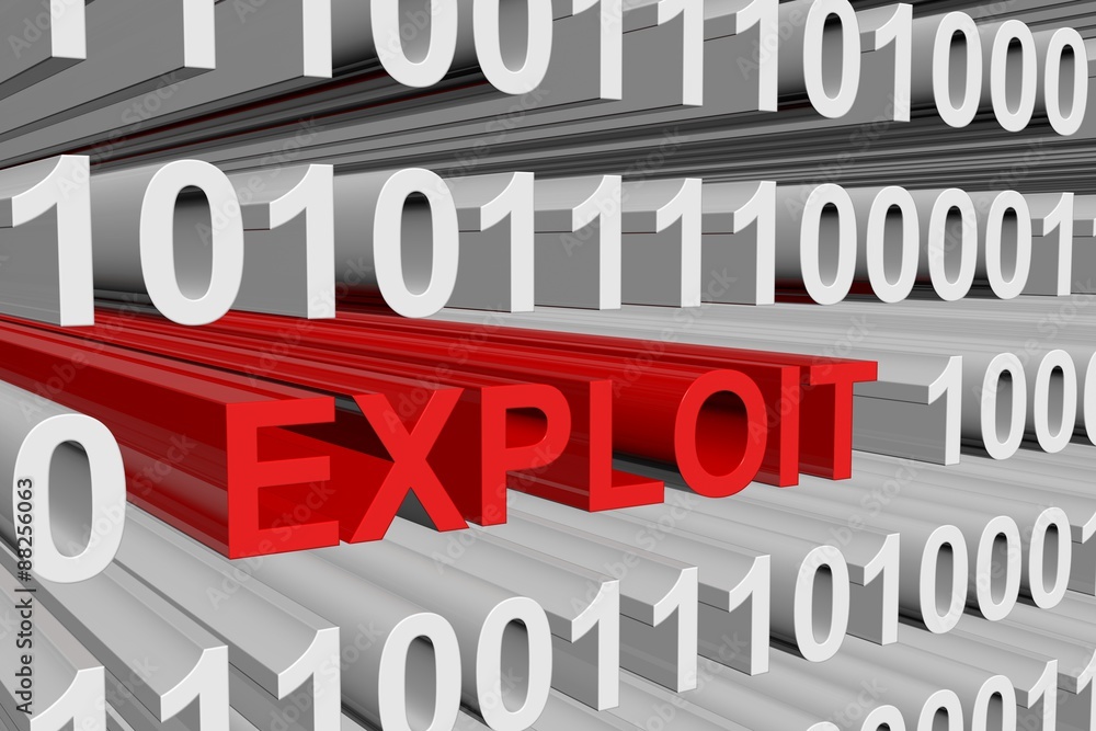 computer program exploiting vulnerabilities in the software computer program exploiting vulnerabilities in the software