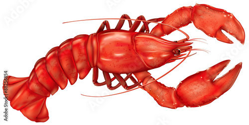 Lobster