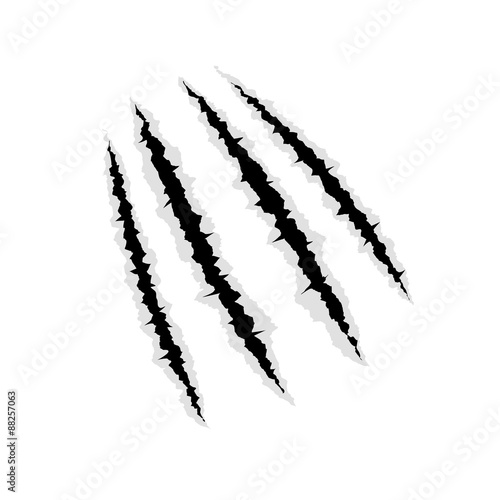 trace of claws of a predator on a white background