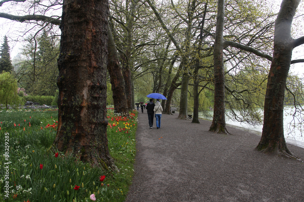 In the spring park