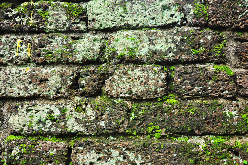 Ancient laterite with lichen at Thai temple, Thailand, Asia Ancient laterite with lichen at Thai temple, Thailand, Asia