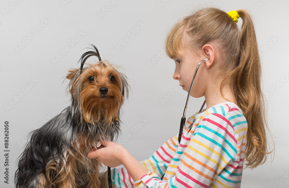 Little girl and a dog, veterinarian doctor Little girl and a dog, veterinarian doctor
