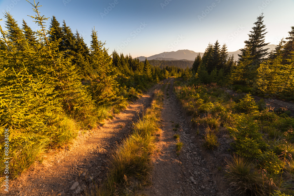 Fototapeta premium Beautiful mountains landscape in Carpathian