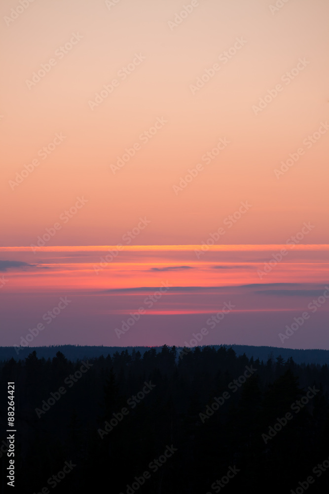 Obraz premium Sun setting over forest