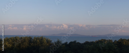 Sea view over the trees