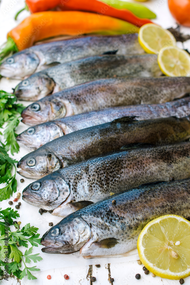 Raw trout fish Raw trout fish