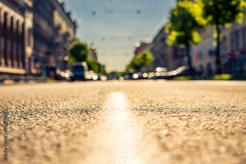 City on a sunny day, a quiet street with trees and cars