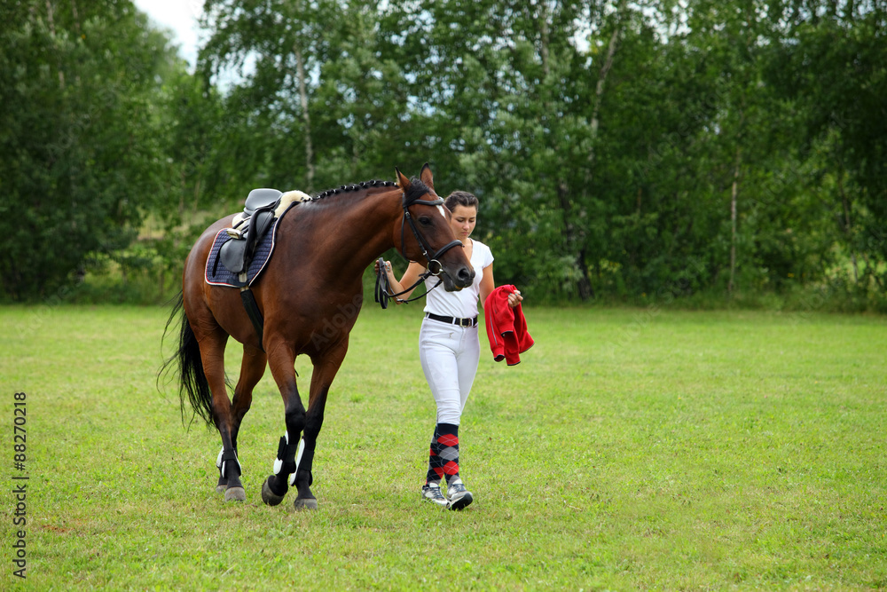 Rider leads horse by bridle across the meadow Rider leads horse by bridle across the meadow