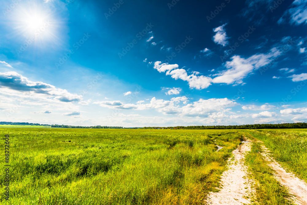 Fototapeta premium Rural road running through a field in the forest