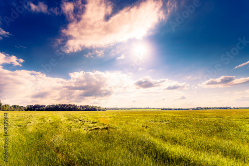 Sun comes out of cumulus clouds and illuminates a fields in the forest