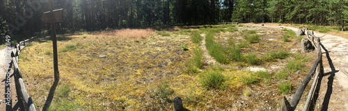 Odry stone circles photo