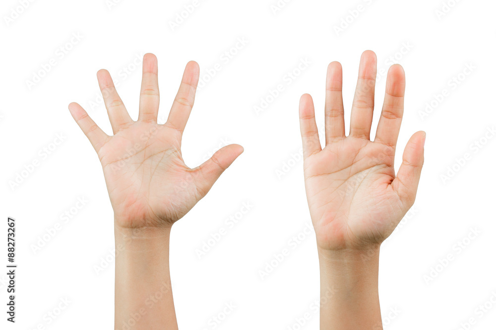 Woman palm of posture, isolated on white background Woman palm of posture, isolated on white background