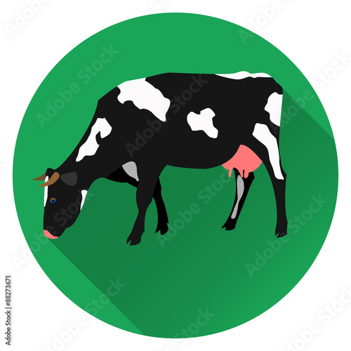 Vector illustration of flat cow