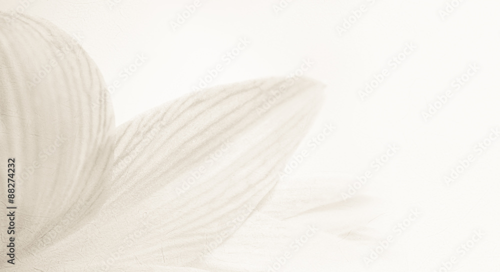Fototapeta słodka kolorowa lilia w delikatnym kolorze i stylu rozmycia na fakturze papieru morwowego na tle