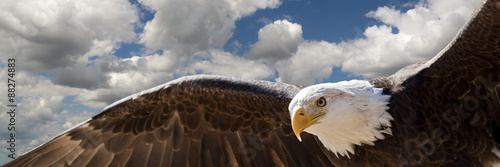 Print op canvas composite of a bald eagle flying in a cloudy sky
