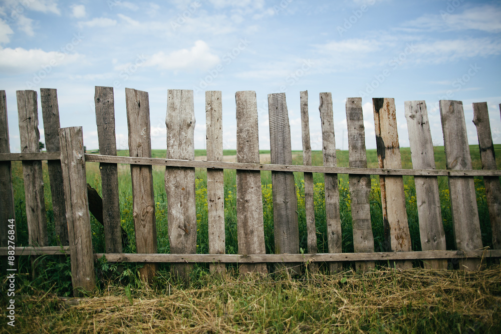 Fototapeta premium wooden fence at the grass