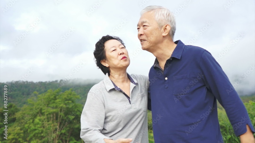 Happy asian senior couple in park with mountain background Happy asian senior couple in park with mountain background