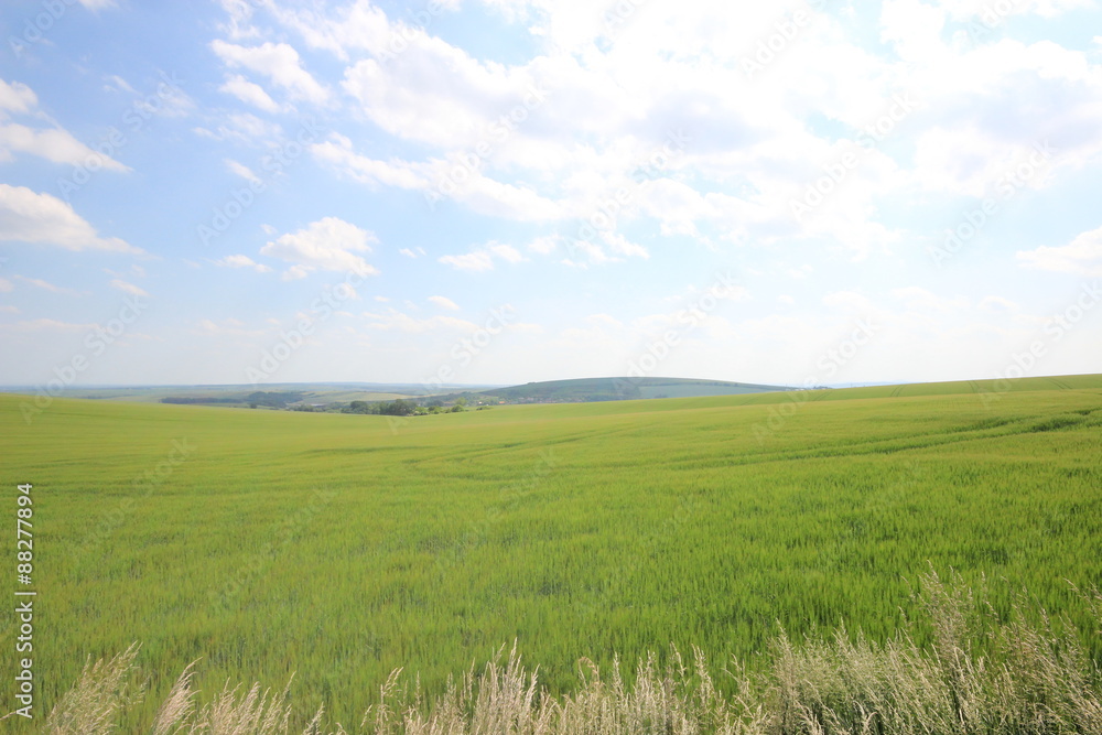 チェコのモラヴィア大草原