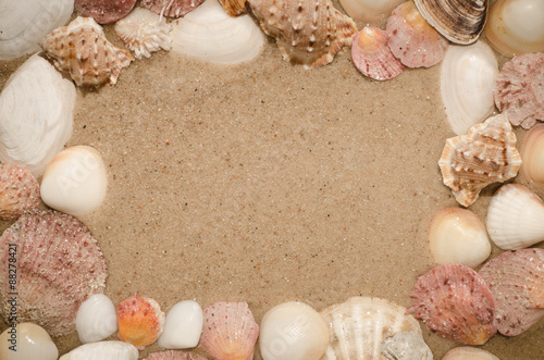 shells composition
