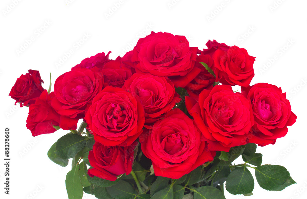 bouquet of fresh roses bouquet of fresh roses
