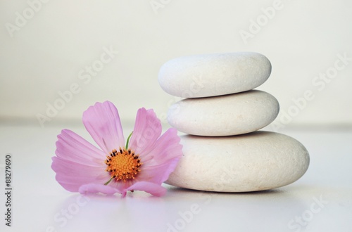 white stones and pink flower  empty white space  soft focus beautiful relaxing spa setting bathroom decoration  balance tranquil