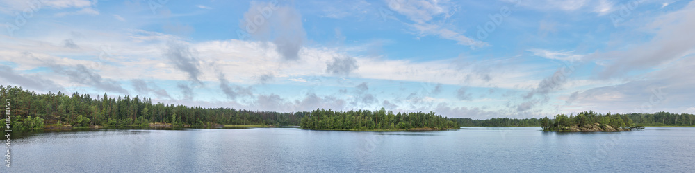 panorama of forest lake