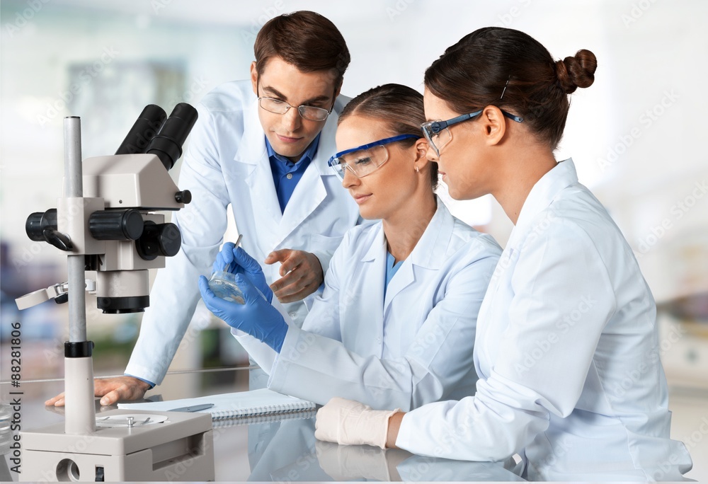 Fototapeta premium Laboratory, Biotechnology, Research.