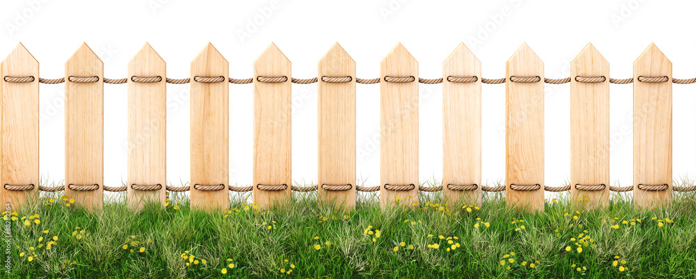 Fototapeta premium fence
