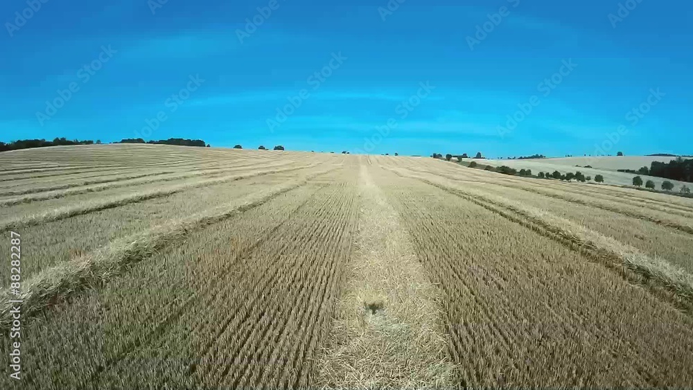 after harvesting after harvesting