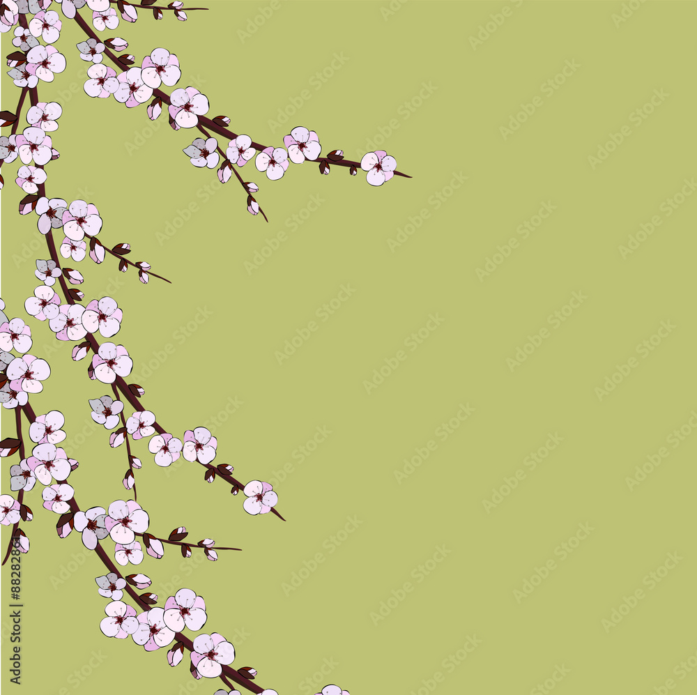 Cherry blossom. Sakura flowers. Floral background. Cherry blossom. Sakura flowers. Floral background.
