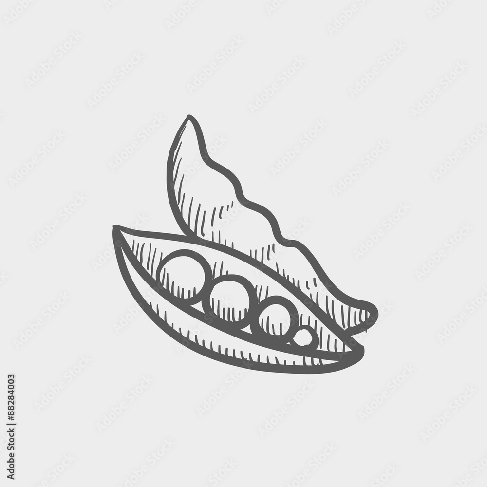 Chinese celery sketch icon Chinese celery sketch icon