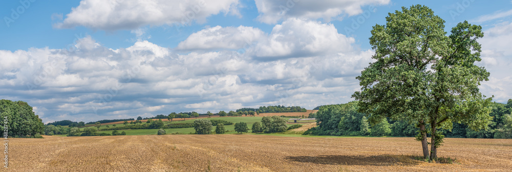 Fototapeta premium Vogtland-Panorama bei Weischlitz
