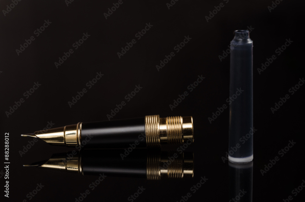 fountain pen and a replaceable cartridge fountain pen and a replaceable cartridge