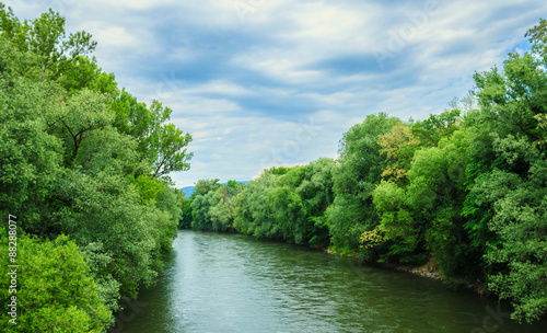 beautiful landscape of trees by river in springtime