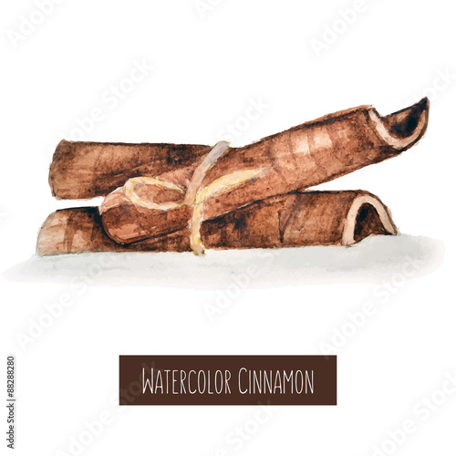 Watercolor hand drawn cinnamon illustration