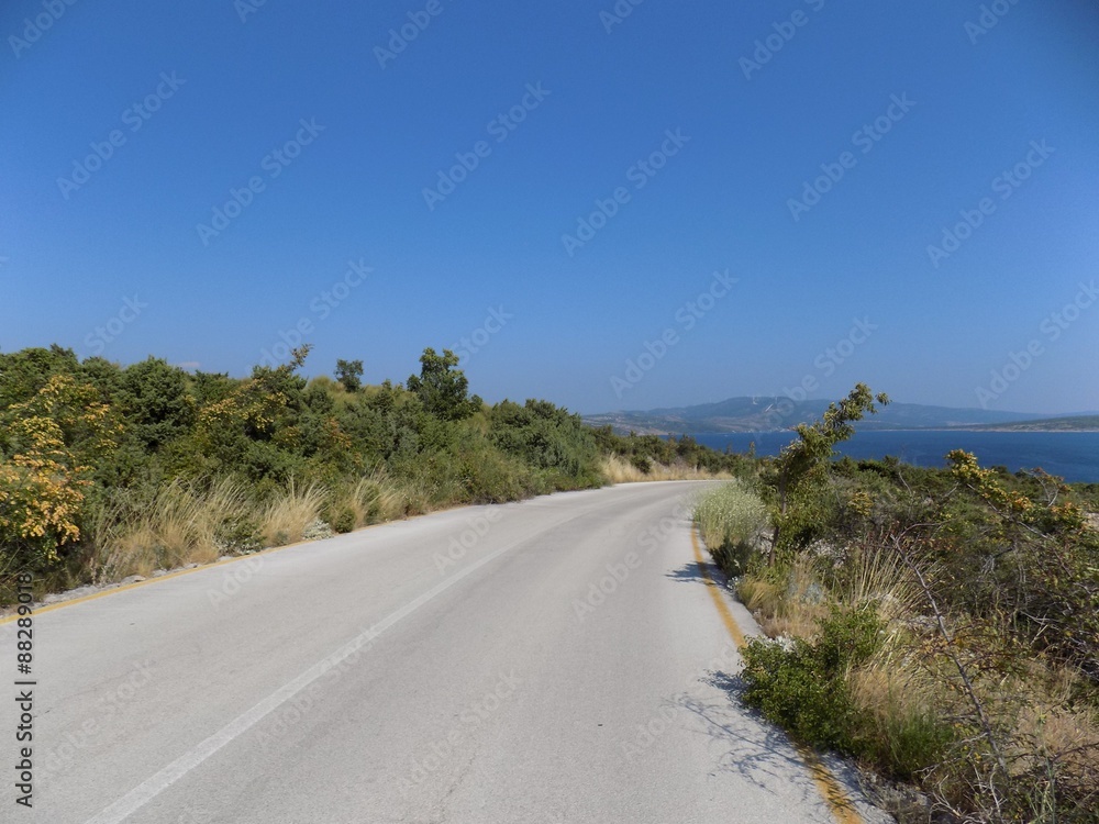 Asphalt road in nature