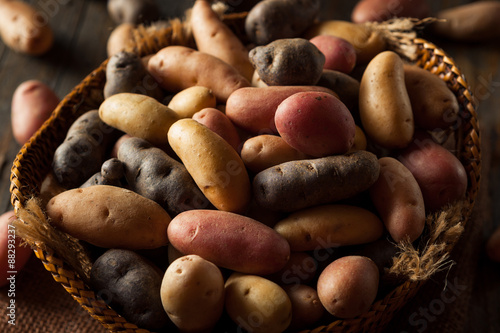 Raw Organic Fingerling Potatoes