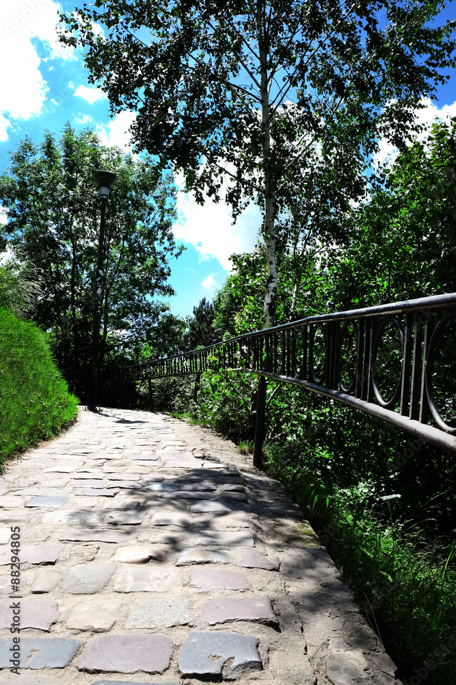Walkway and green trees in park Walkway and green trees in park