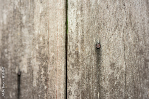 rusty nail in wood plank with grain texture