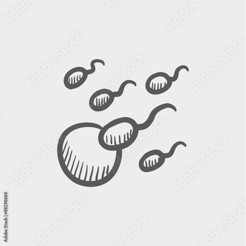 Sperm and egg cells sketch icon