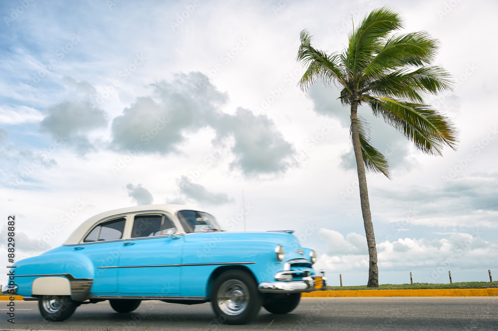 Classic vintage American car drives along a coastal road next to single palm tree in Varadero, Cuba
