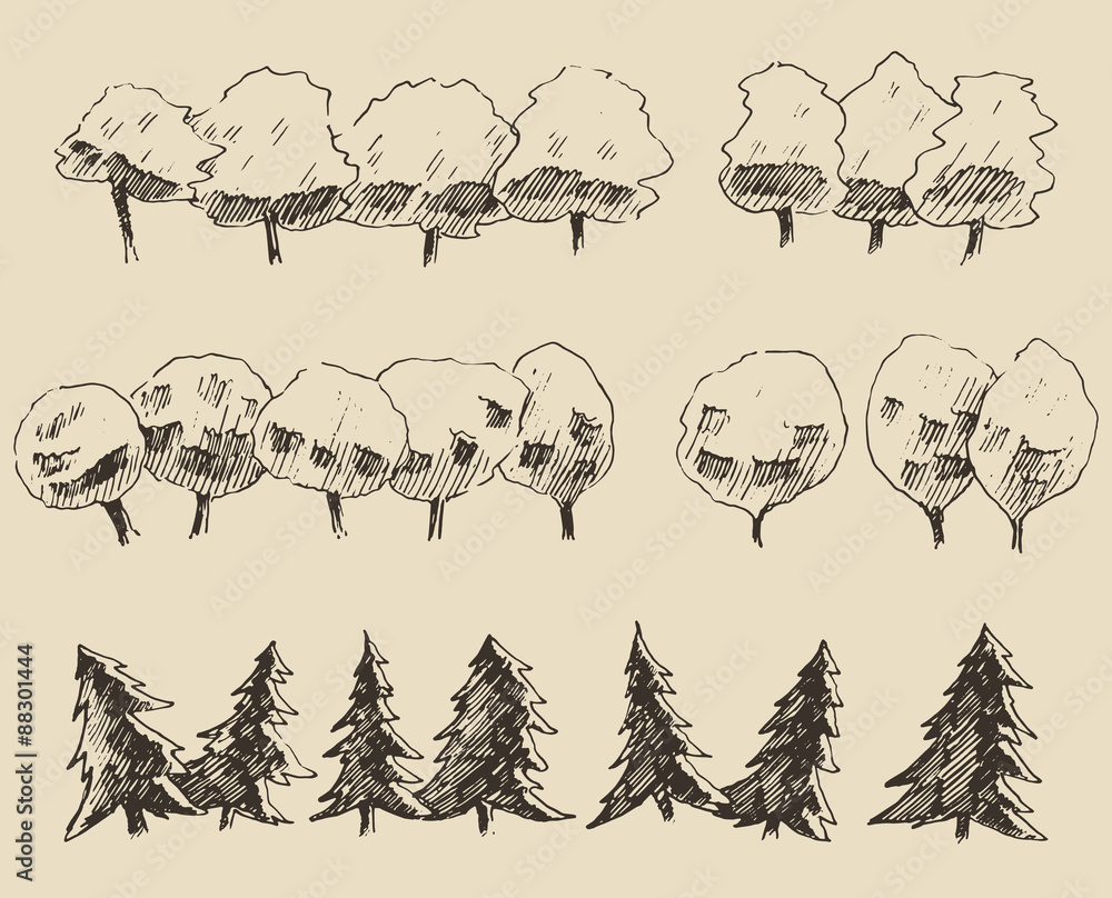 Trees sketch set, vintage vector style, hand drawn