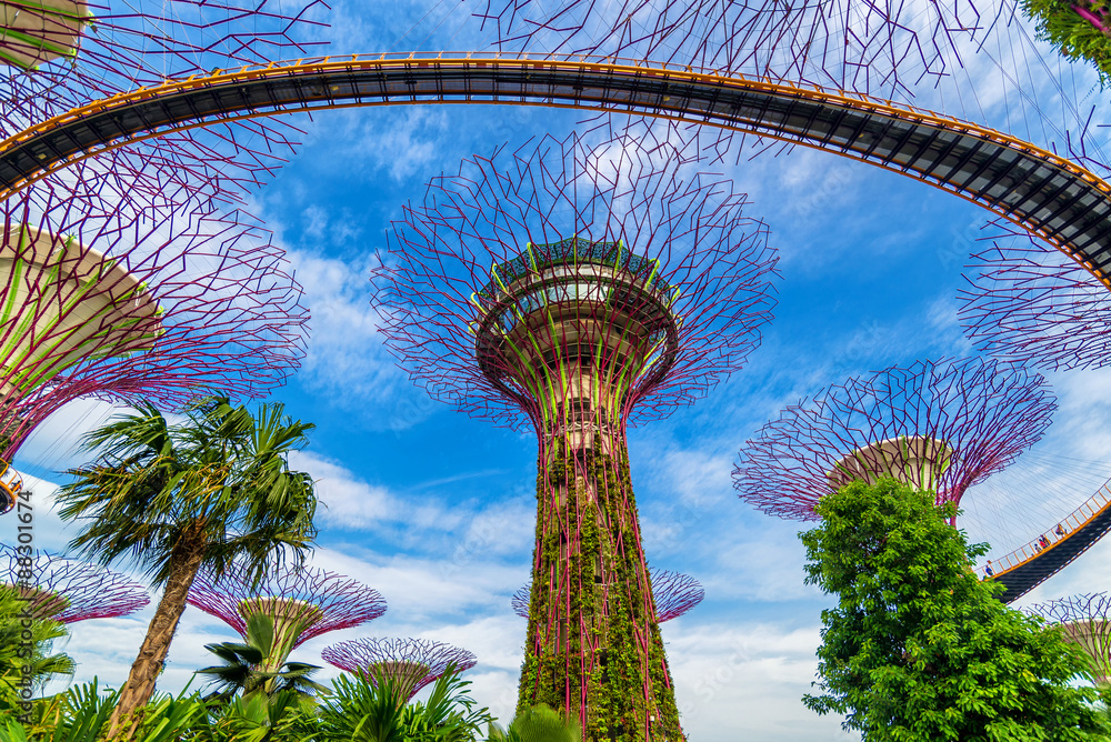 Naklejka premium The Supertree at Gardens by the Bay