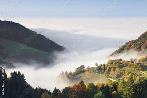 Foggy landscape in autumn, Wiedener Eck, Black Forest, Baden Wurttemberg, Germany