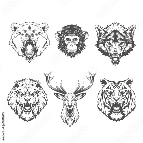 Animals heads set